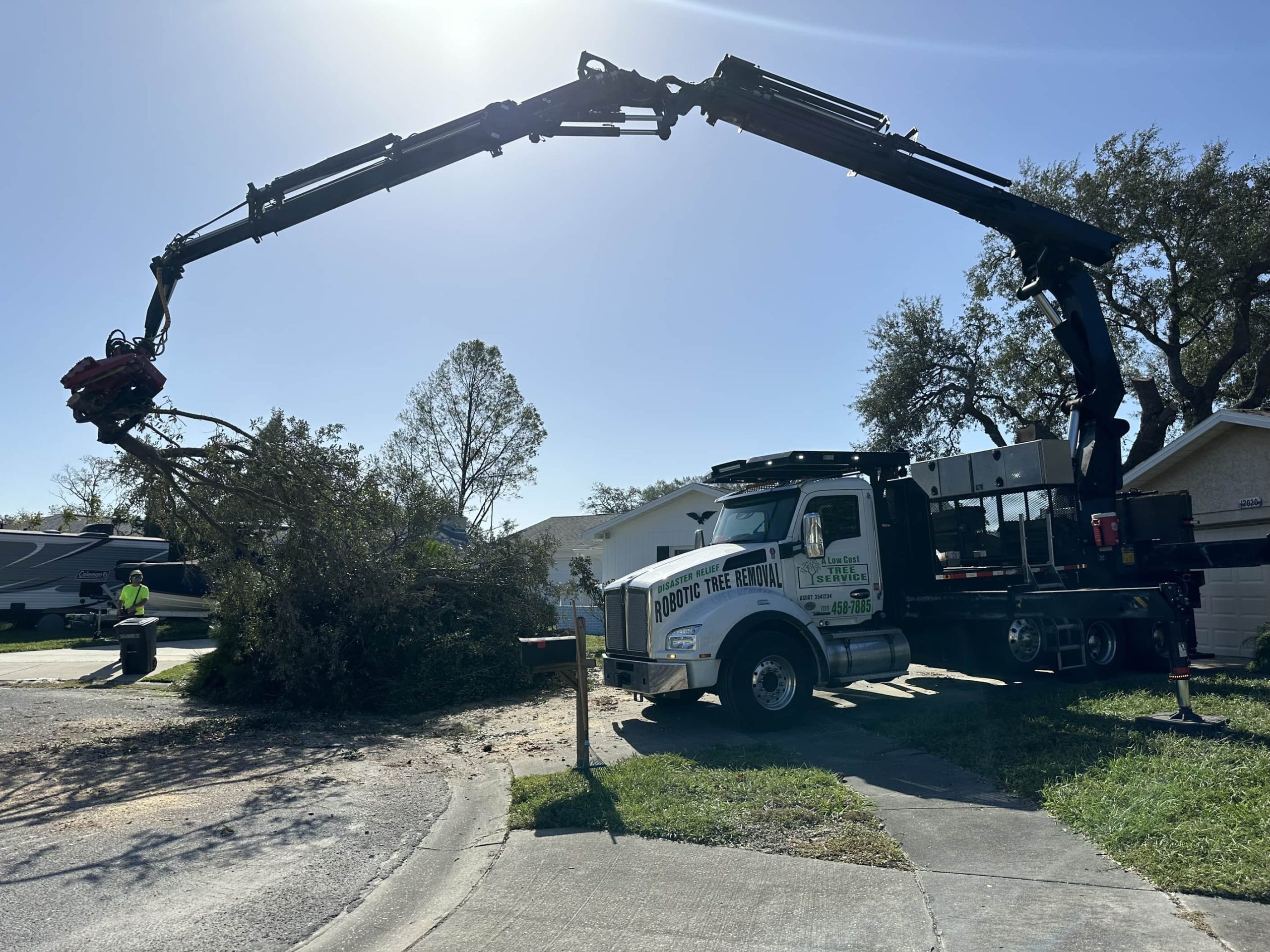 low cost tree services